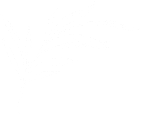Logo Ludivine Darmon